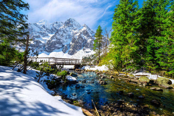 Vacations in Poland - winter view of the Rybi Potok Valley in Tatra Mountains stock photo
