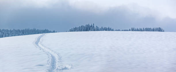 istock Footprint over a snowy hill 1363108867
