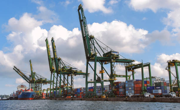 terminal de contenedores en el puerto de santos, brasil. - derrick crane fotos fotografías e imágenes de stock