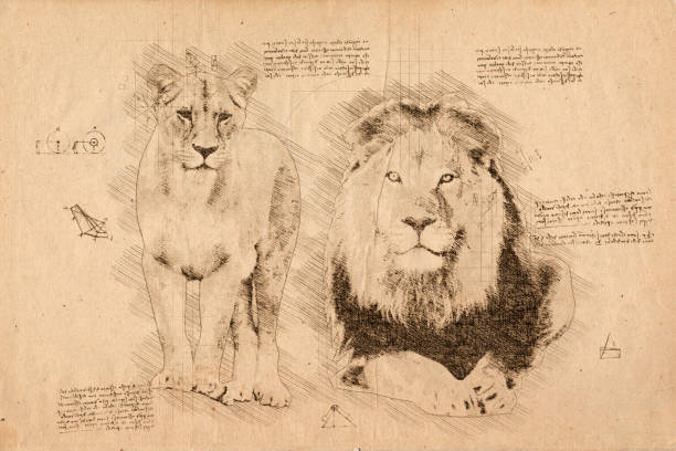 istock African lion couple in Renaissance sketching style 1363114628