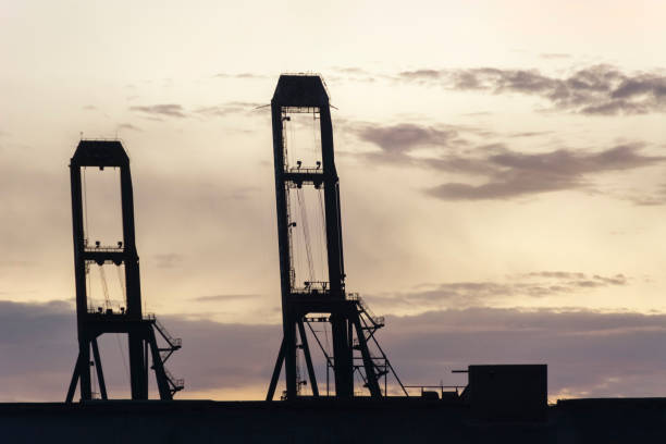 silueta de grúas de contenedores en el puerto de la ciudad de santos, brasil. - derrick crane fotos fotografías e imágenes de stock