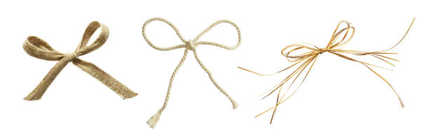 Set og beige canvas, rope and raffia bows isolated on white Set og beige canvas, rope and raffia bows isolated on white. Natural decorations. raffia stock pictures, royalty-free photos & images