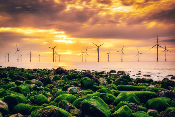 turbina eólica offshore em um parque eólico ao pôr do sol em redcar, yorkshire, reino unido - alternative energy wind turbine environment energy - fotografias e filmes do acervo