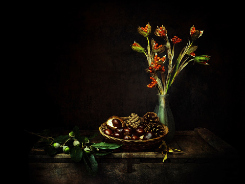 Autumn nature still life with conkers, stinking iris seeds, acorns and pine cones. Dark chiaroscuro vintage style.