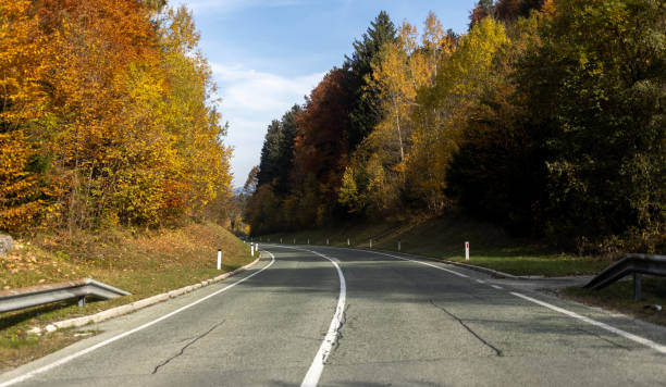 istock driving on asphalt road in autumn yellow forest 1363126841