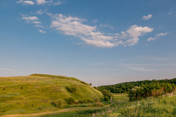 istock Gorgeous summer view on green grass hills under serene blue sky with clouds. 1363128143