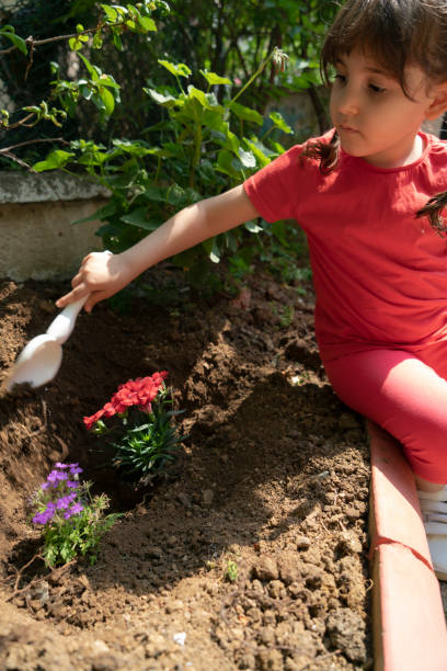 istock Planting Flowers Outside 1363128603