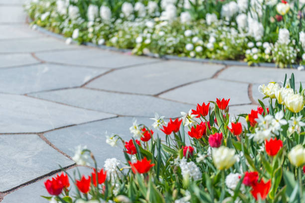 istock Red Tulips and White Hyacinths 1363132547