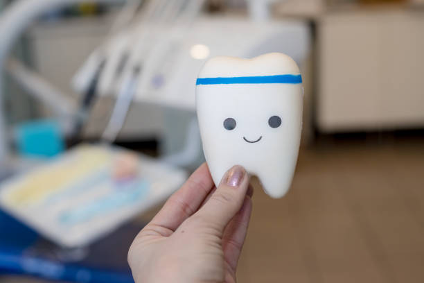 orthodontic model and dentist tool - demonstration teeth model of varities of orthodontic bracket or brace modelo de juguete de diente con cara linda.modelo de ortodoncia y herramienta de dentista - modelo de dientes de demostración de variedades de bracket o aparato ortopédico de ortodoncia. diente sano. concepto de alimentación saludable.visita dental