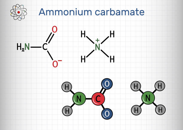 Ammonium carbamate molecule. It is organic compound consisting of ammonium and carbamate. Structural chemical formula and molecule model. Sheet of paper in a cage Ammonium carbamate molecule. It is organic compound consisting of ammonium and carbamate. Structural chemical formula and molecule model. Sheet of paper in a cage. Vector illustration ammonium nitrate stock illustrations