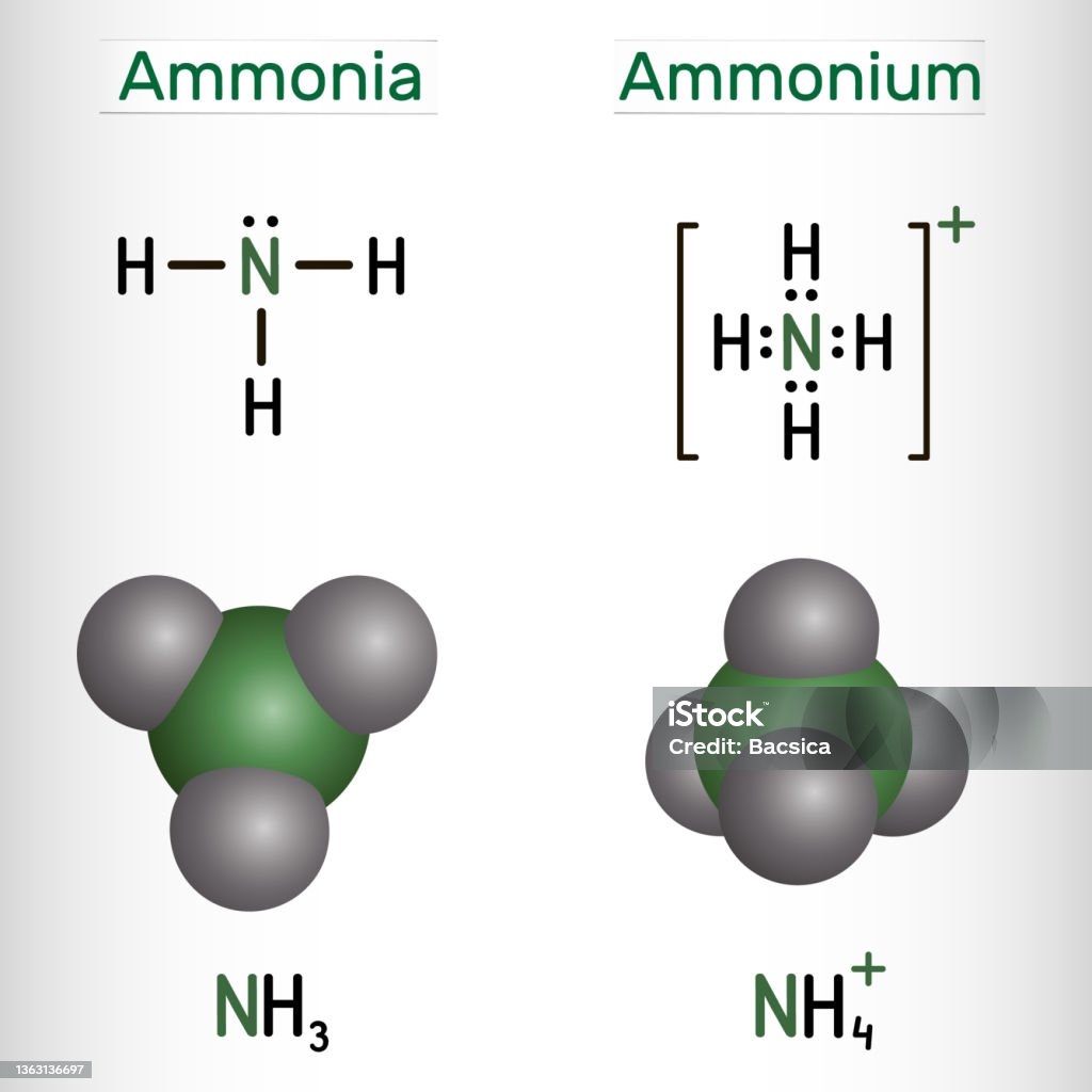 Ammonium cation, NH4 and ammonia, NH3 molecule. Structural chemical formula and molecule model. Ammonium cation, NH4 and ammonia, NH3 molecule. Structural chemical formula and molecule model. Vector illustration Ammonia stock vector