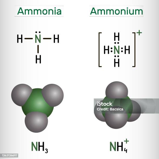Ammonium Cation Nh4 And Ammonia Nh3 Molecule Structural Chemical Formula And Molecule Model Stock Illustration - Download Image Now
