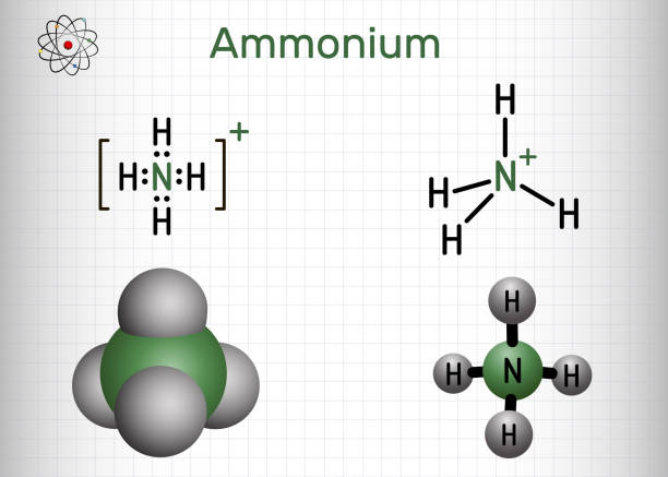 Ammonium cation, azanium molecule. It is positively charged polyatomic ion. Structural chemical formula and molecule model. Sheet of paper in a cage Ammonium cation, azanium molecule. It is positively charged polyatomic ion. Structural chemical formula and molecule model. Sheet of paper in a cage. Vector illustration ammonium nitrate stock illustrations