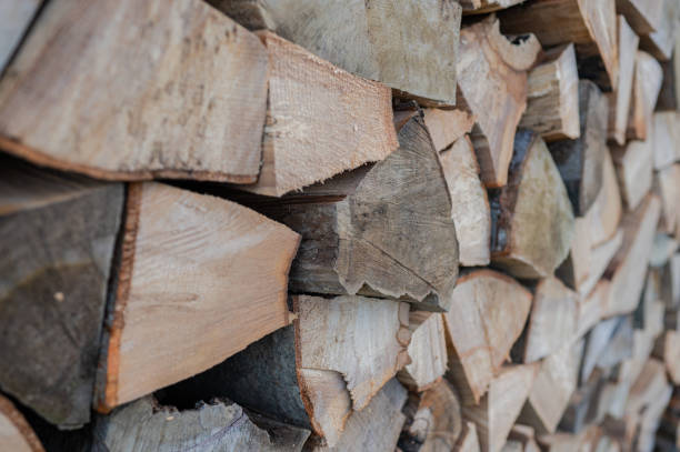 istock A pile of firewood drying before winter 1363138108