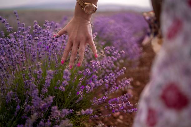 istock Young woman at a lavender field 1363145411
