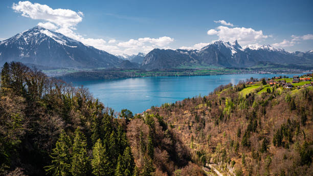 panorama des thunersees im berner oberland - bernese oberland thun oberland panoramic stock-fotos und bilder