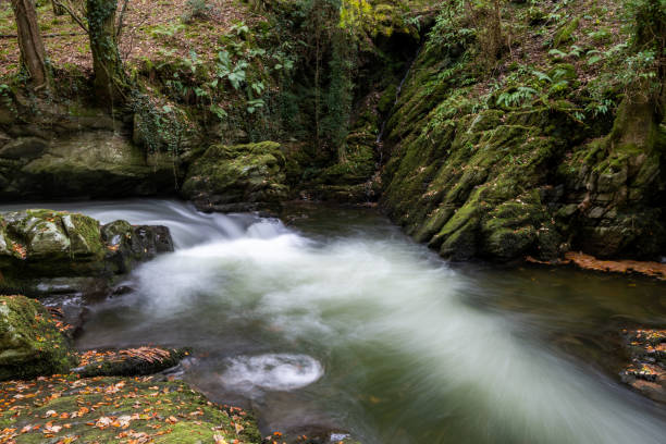 istock Watersmeet in Exmoor National Park 1363149744