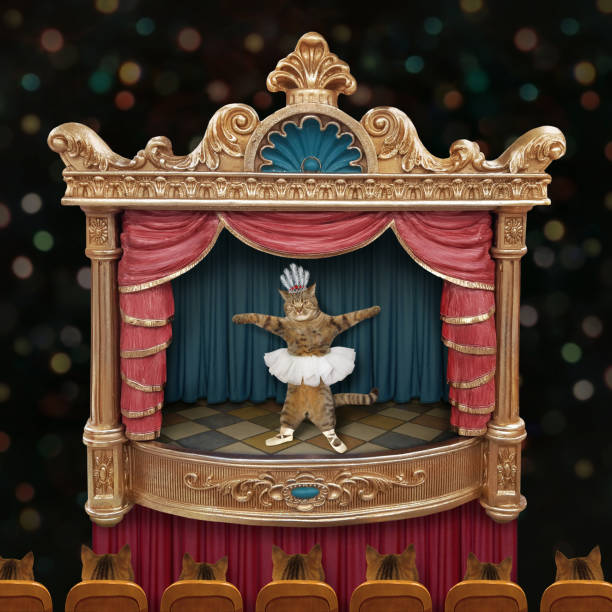 istock Cat ballet dancer on stage of theater 1363151095