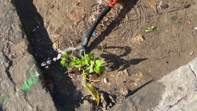 Broken irrigation pipe