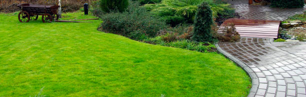 istock Garden landscape in spring 1363157517
