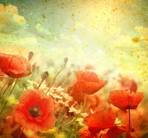 istock landscape on a grunge background 1363157606