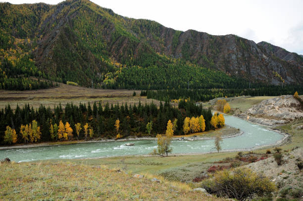 un lit sinueux d’une belle rivière qui coule à travers une vallée d’automne au pied d’une haute chaîne de montagnes. - russia river landscape mountain range photos et images de collection