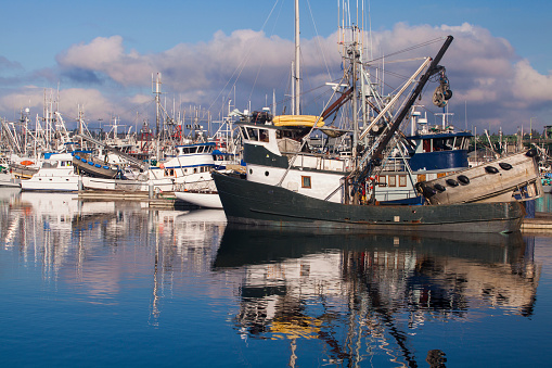 Typical Mediterranean fisheries. Trawlers at the harbor of Civitanova Marche