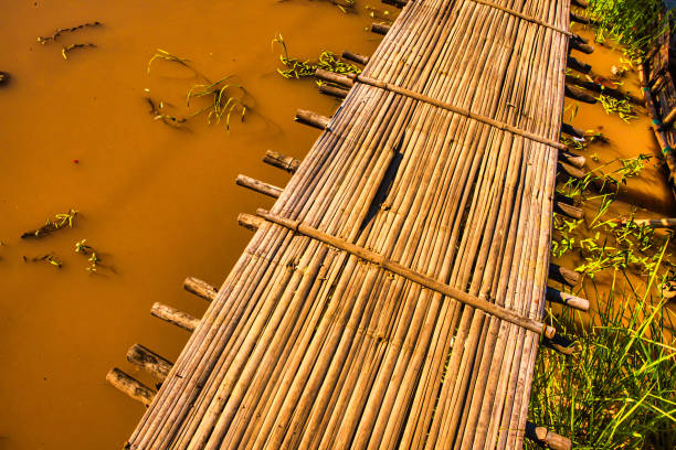 Old wooden bridge over the lake