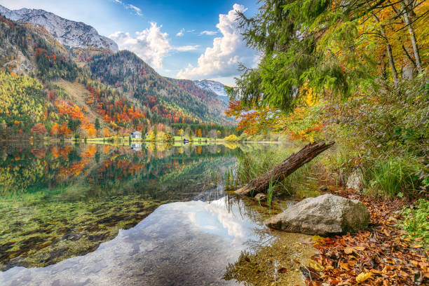 istock Fabulous autumn scene of Vorderer Langbathsee lake. 1363181132