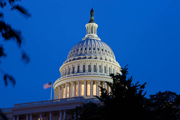 istock Capitol Building In Washington DC At Night 136318446