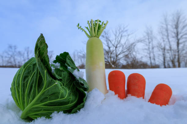 istock Stored winter vegetables in the snow 1363185216