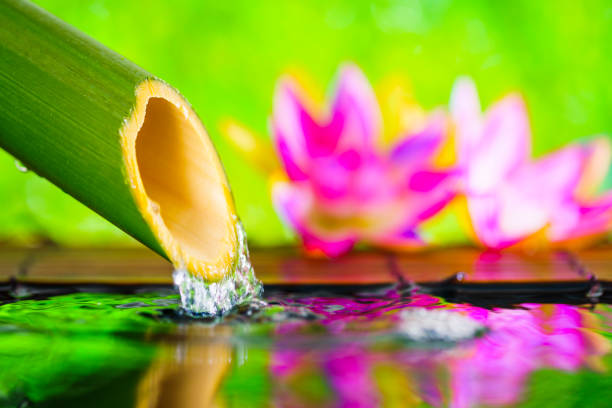 istock Fresh green background with water flowing from bamboo 1363187497