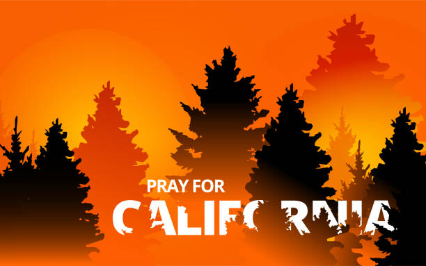 Illustration vector graphic of forest fire in California state, USA. Trees about to burn in red, orange wildfire. Creek fire in the forest. Pray for California's Creek Fire concept. Flat style. Illustration vector graphic of forest fire in California state, USA. Trees about to burn in red, orange wildfire. Creek fire in the forest. Pray for California's Creek Fire concept. Flat style. forest fire stock illustrations