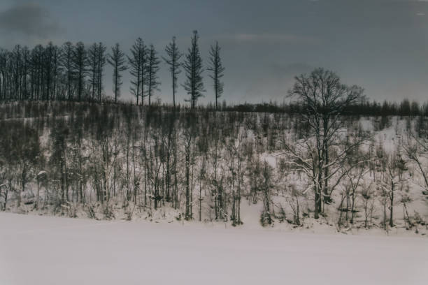 istock Winter scenery view in Hokkaido. 1363201760