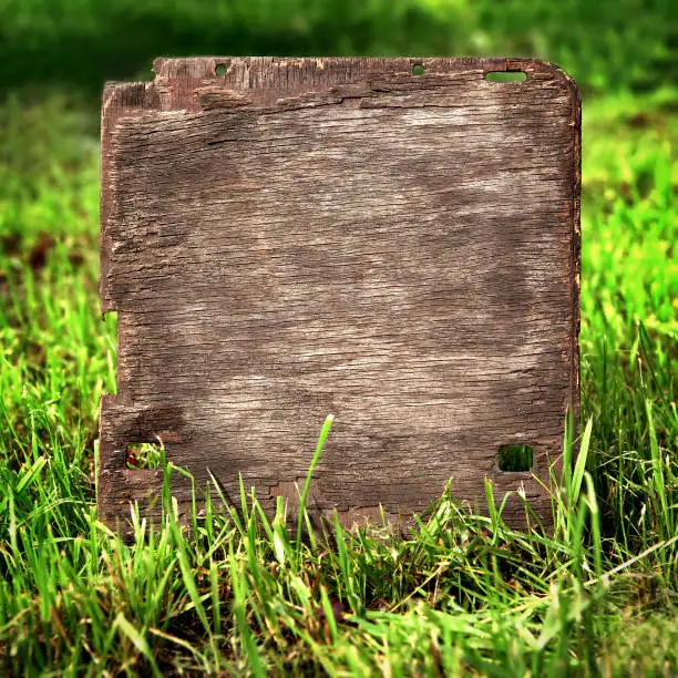 Old Wooden Board on the Grass closeup
