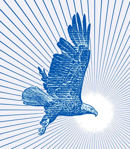 Vector illustration of Bald Eagle Flying