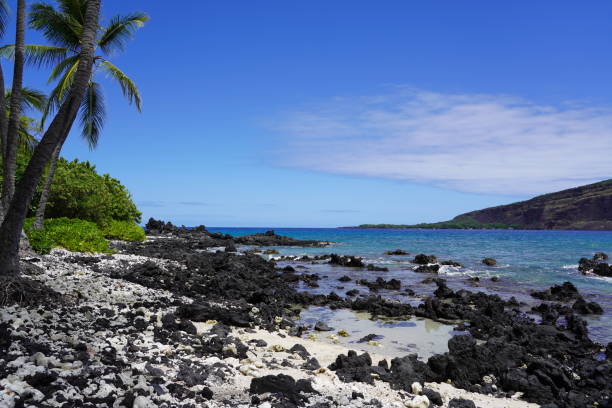 istock Kealakekua Bay 1363208455