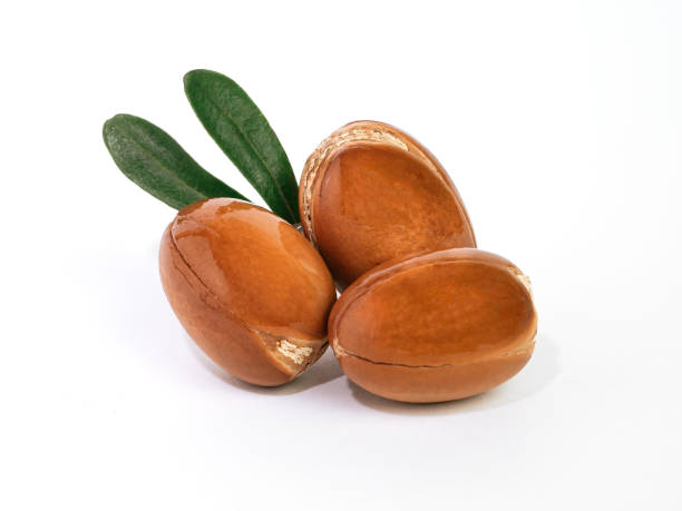 Moroccan Argan nuts with green leaves on white isolated background. Argan seeds, for the production of oil Moroccan Argan nuts with green leaves on white isolated background. Argan seeds, for the production of oil. argan tree stock pictures, royalty-free photos & images