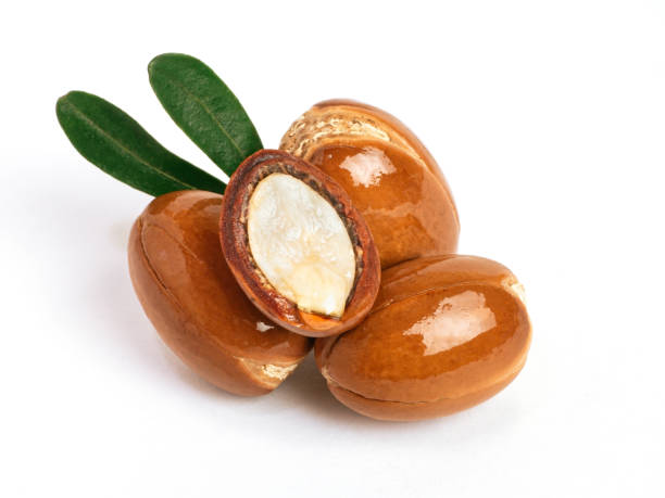 istock Three argan nuts with green leaves on an isolated white background. Chopped argan nut with a drop of oil. Whole and half Moroccan Argania Spinosa seeds for the production of oil 1363211002
