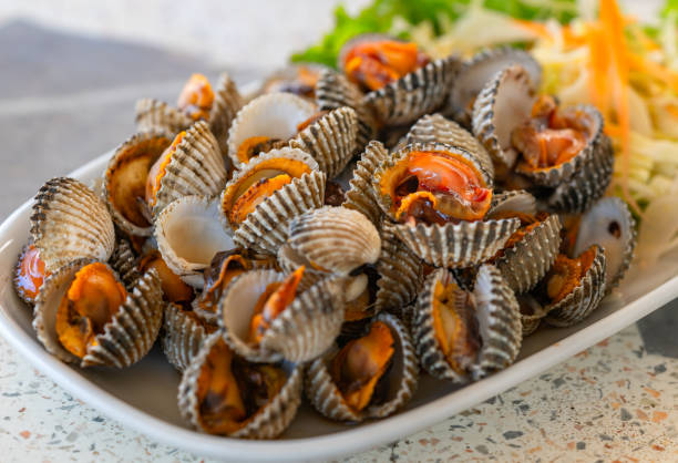 Close up popular Thailand easy seafood called Hoi Krang Pao or Grilled Cockle. Hoi Krang Pao or Grilled Cockle in a white plate and salad on stone table. Food image with natural light selected focus. de cerca el popular marisco fácil de tailandia llamado hoi krang pao o berberecho a la parrilla. hoi krang pao o berberecho a la parrilla en un plato blanco y ensalada sobre mesa de piedra. imagen de alimentos con luz natural enfocada seleccionada.
