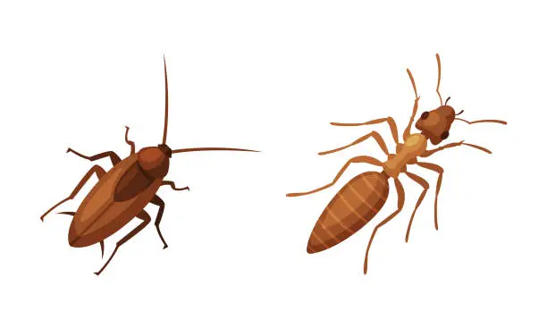 Vector illustration of Pest Control and Parasite Extermination and Disinsection Service Vector Set