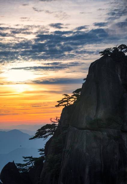 A Beautiful Dawn At the Summits Of the Yellow Mountain Fascinating shapes and silhouettes in a peaceful sunrise with nicely shaped pines and fantastic rocks at Mount Huangshan, Anhui Province, China huangshan mountains stock pictures, royalty-free photos & images
