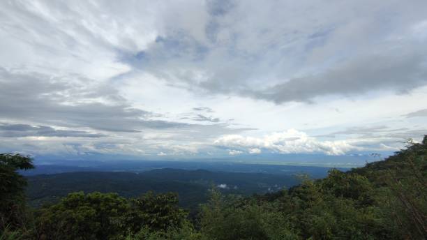 istock View of forest and cloudy sky. 1363227406