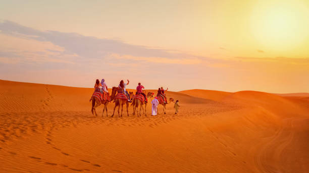 Camel caravan with tourists on desert safari adventure Caravan with group of tourists riding camels through Dubai desert during safari adventure, People exploring sand dunes at sunset in UAE camel train photos stock pictures, royalty-free photos & images