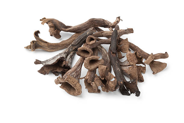 istock Whole fresh Black Trumpet mushrooms 136323464