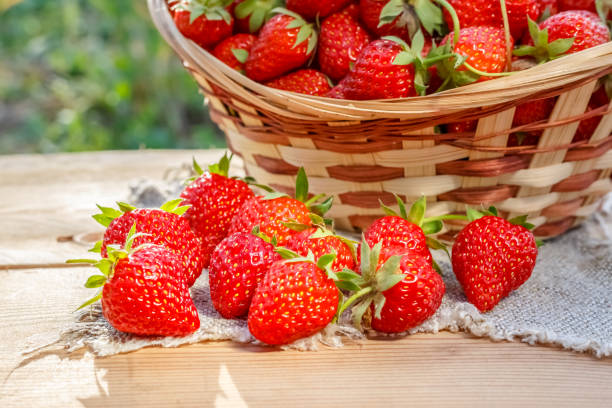 istock Fresh ripe strawberries scattered from the basket. 1363241375