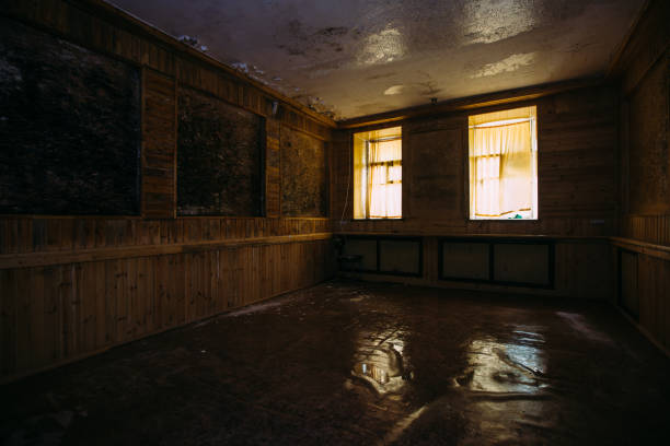 istock Dark creepy old abandoned basement under house 1363241629