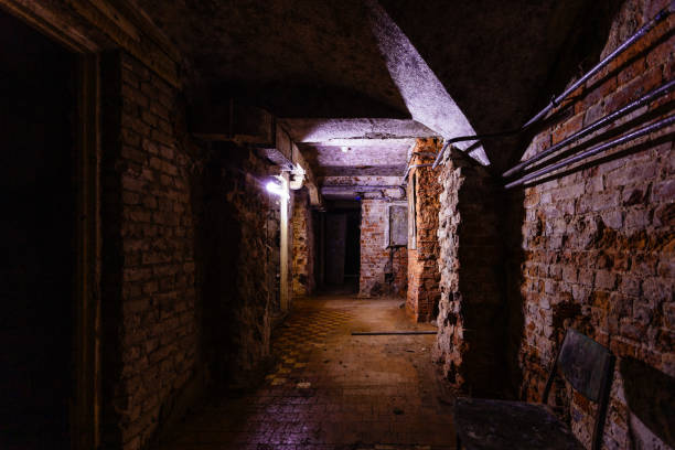 istock Dark creepy old abandoned basement under house 1363241639