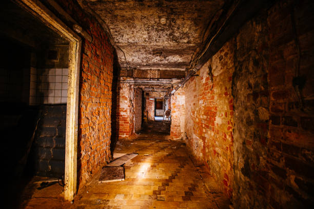 istock Dark creepy old abandoned basement under house 1363241690
