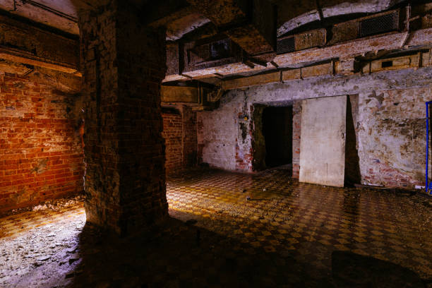 istock Dark creepy old abandoned basement under house 1363241841
